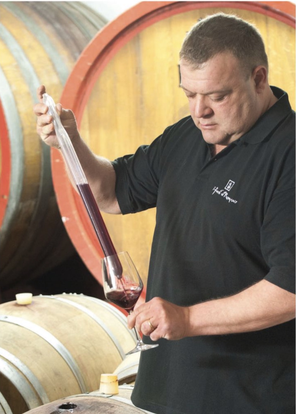LWC Drinks wine portfolio brochure
